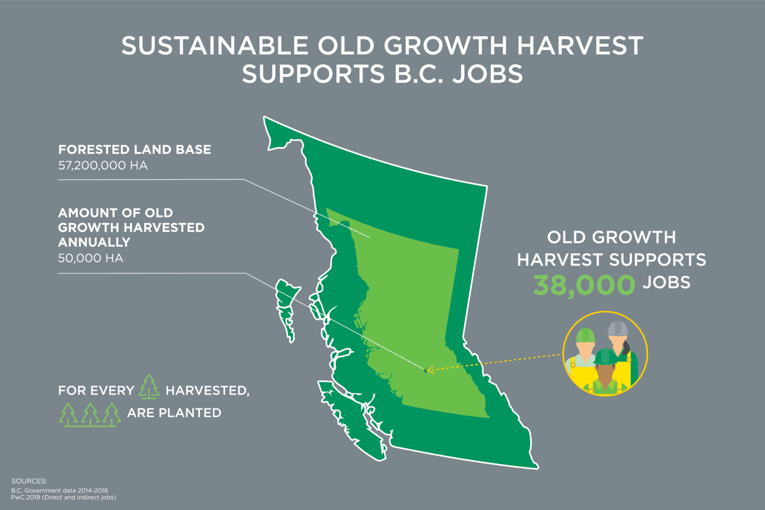 Old Growth Graphic web-15
